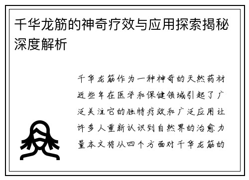 千华龙筋的神奇疗效与应用探索揭秘深度解析